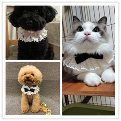4色 小型犬＆猫の首輪  ペットレースのリボン首輪&蝶ネクタイ  波のポイント&ドット☆Creema限定 8枚目の画像