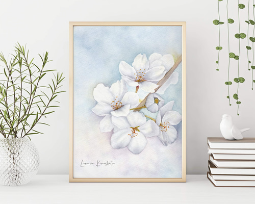 母の日セール・SALE）夢のようなさくら (Dreamy Cherry Blossoms) 版画