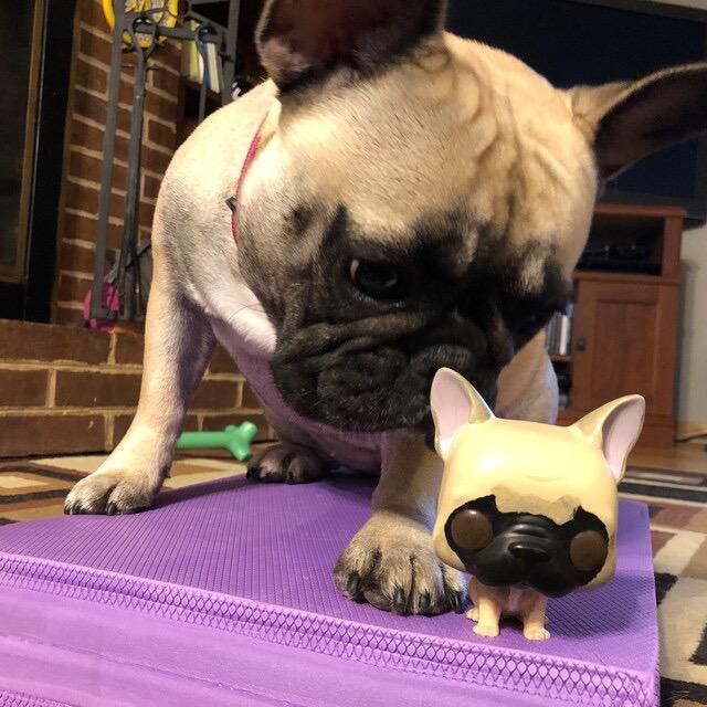 【オーダーメイド】米国ファンコポップ フィギュア マンガ funko pop 手作り人形漫画 父の母の日 ギフトコスプレ