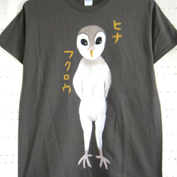 メンフクロウのヒナ・ヒナフクロウ・メンズMタグ（レディスL対応サイズ）カーキ＊手描きTシャツ＊chobico＊ 1枚目の画像