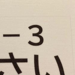 オーダー・水着用ゼッケン☆ 4×7cm2面&8×12cm1面・アイロンタイプ・縫い付けも可能 2枚目の画像