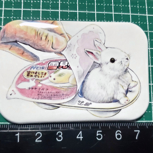 角丸長方形の缶バッジ(雪見うさぎ) ブローチ 白石拓也 通販 13877200