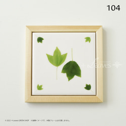 104 葉っぱタイル・トウカエデ （屋内壁用100角・1枚・プリントデザインタイル） 5枚目の画像