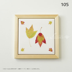 105 葉っぱタイル・トウカエデ （屋内壁用100角・1枚・プリントデザインタイル）秋 紅葉 5枚目の画像