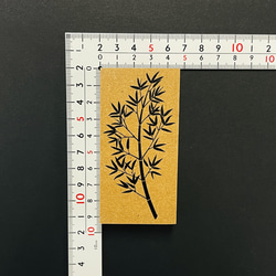  第12張的照片