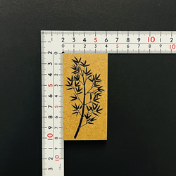  第14張的照片