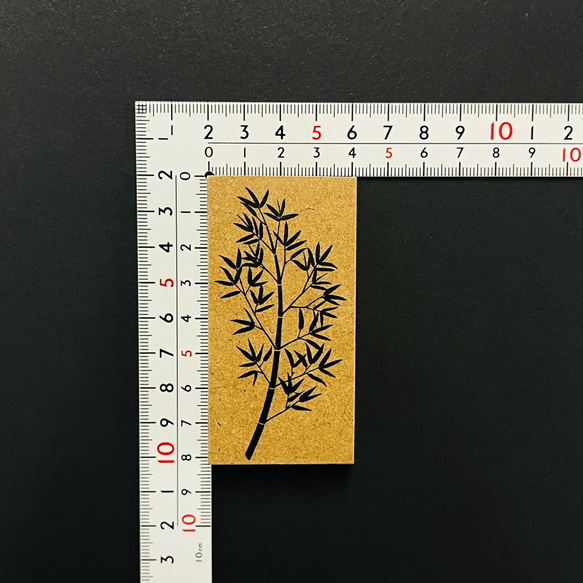  第14張的照片