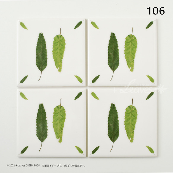 106 葉っぱタイル・クヌギ （屋内壁用100角・1枚・プリントデザインタイル） 4枚目の画像