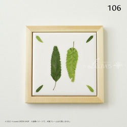106 葉っぱタイル・クヌギ （屋内壁用100角・1枚・プリントデザインタイル） 5枚目の画像