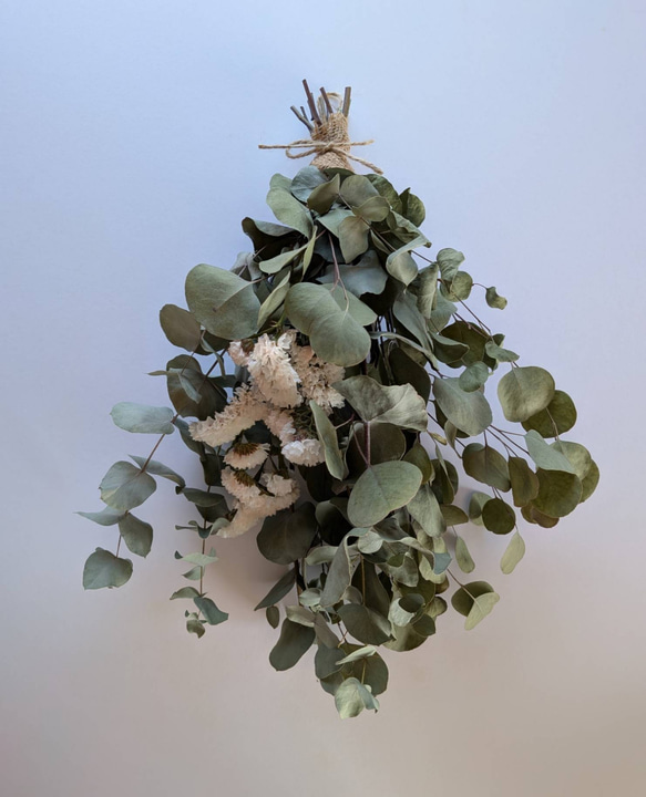 ユーカリのドライフラワー（ｽﾜｯｸﾞ） スワッグ nyao-mery 通販 13879080