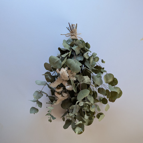 ユーカリのドライフラワー（ｽﾜｯｸﾞ） スワッグ nyao-mery 通販 13879080