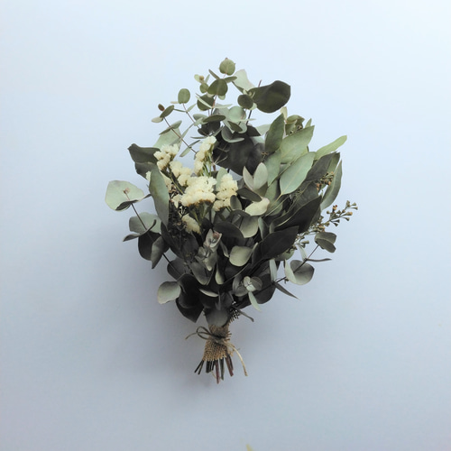 ユーカリのドライフラワー（ｽﾜｯｸﾞ） スワッグ nyao-mery 通販 13879080