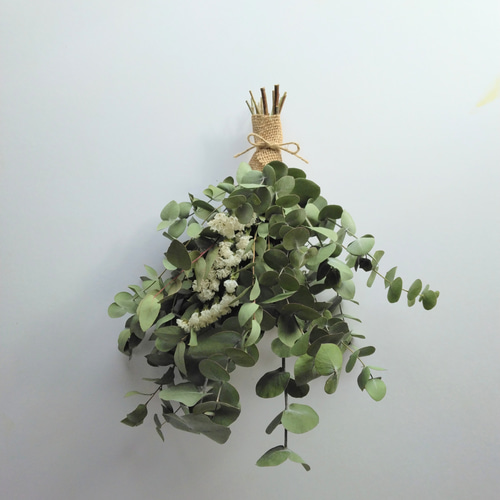 ユーカリのドライフラワー（ｽﾜｯｸﾞ） スワッグ nyao-mery 通販 13879080