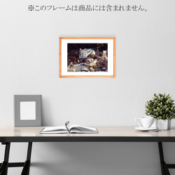 【A4可能】秋のエゾシマリス・アートポスター 北海道動物写真 3枚目の画像