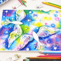 【★】星の鳥たち(星の鳥/絵本挿し絵)　　 8枚目の画像