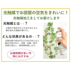 グリーンプランツ creema限定 今だけ「送料無料」 造花 完成品 観葉植物風 光触媒 フェイクグリーン アレンジ 8枚目の画像