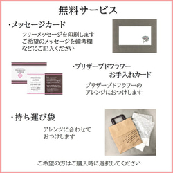 グリーンプランツ creema限定 今だけ「送料無料」 造花 完成品 観葉植物風 光触媒 フェイクグリーン アレンジ 9枚目の画像