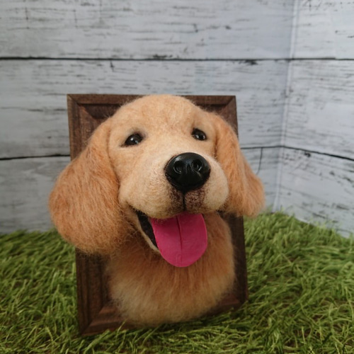 羊毛フェルト 犬 額縁入りゴールデンレトリバー 犬フィギュア