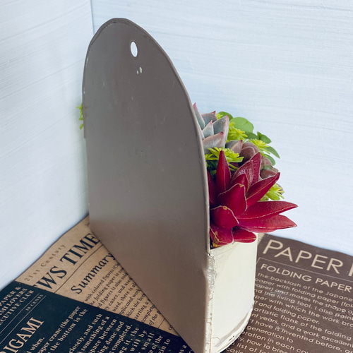 そのまま飾れる】多肉植物 寄せ植え ..＊ 6 ＊.. 多肉植物 Dia Lily