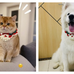 猫&犬&用襟型ペット☃サンタクロースのあごひげ可愛い首輪☃手作り☆Creema限定クリスマス2022　 7枚目の画像