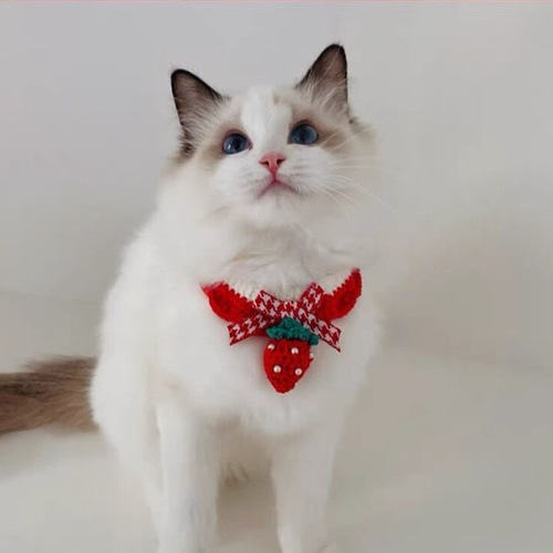 お正月ハンドメイド新作2025☆猫&犬&用襟型ペット首輪☆いちご+赤い