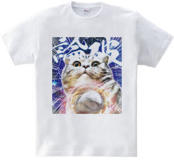 おもしろねこTシャツ２点セット 1枚目の画像