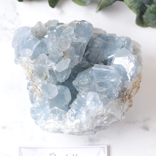 ✨希少✨【天然石】セレスタイト 天青石 クラスター 約3.8kg 特大結晶❣️ 楽天市場】【今P10倍】【厳選 一点物】セレスタイト クラスター