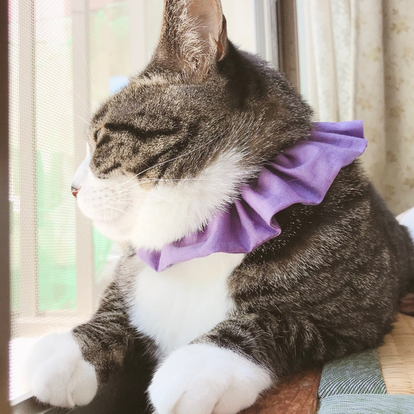 Simple series*°Lavender猫シュシュ首輪 4枚目の画像