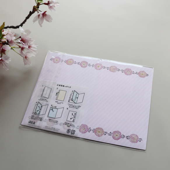 [脆明信片] 櫻花按鈕信可以貼在一起並以明信片的價格發送 第4張的照片