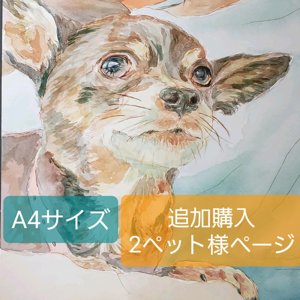 大切なペットさんの似顔絵 スペシャルオーダーA4サイズ追加購入2ペット 