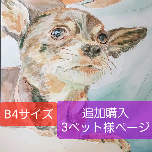 大切なペットさんの似顔絵 スペシャルオーダーB4サイズ・追加購入3