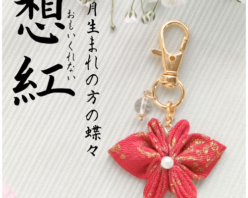 67363ff689bc642f2336e189b38b12