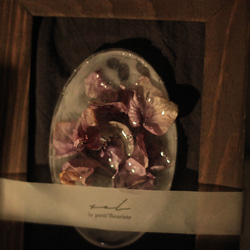 紫陽花アメジストモーヴの標本 2枚目の画像