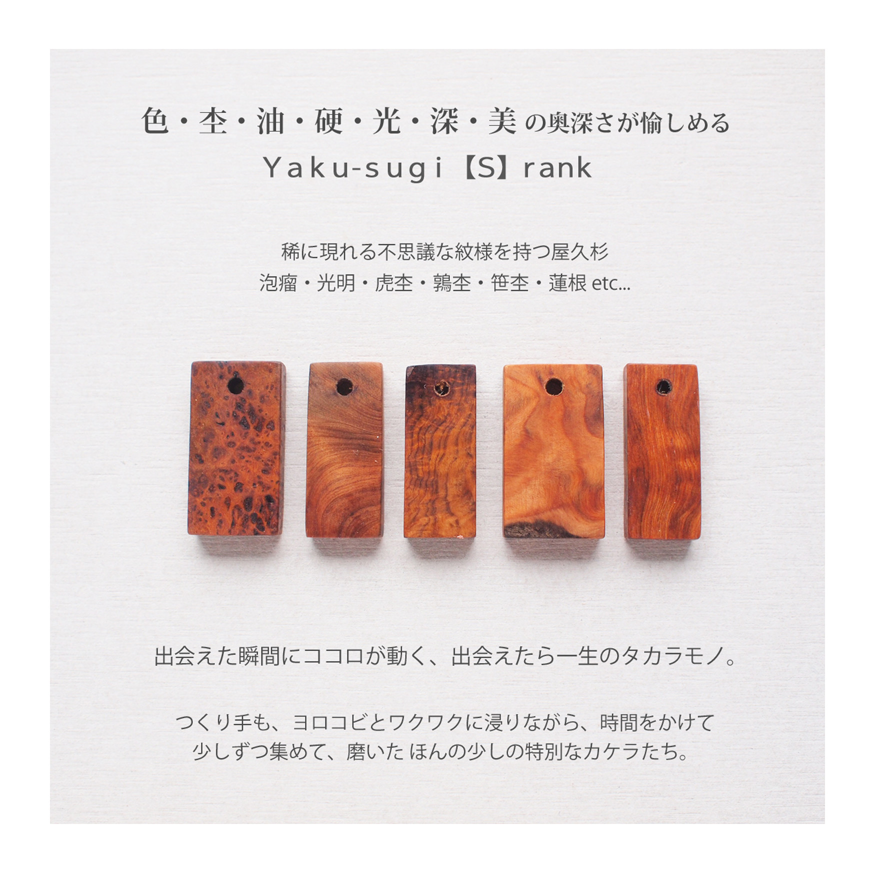 YAKU-SUGI 〈S〉【MAMORI守】ALLBRASS RETRO ●〔屋久杉/真鍮/刻印/キーホルダー〕
