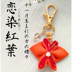 34ea4997b00fcacadb1be57ff07fc3