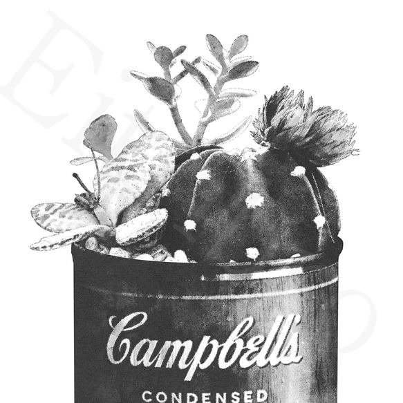 アートポスター/ Cactus in the can [mono] おしゃれインテリア・北欧、モノトーン好きの方に☆ 3枚目の画像