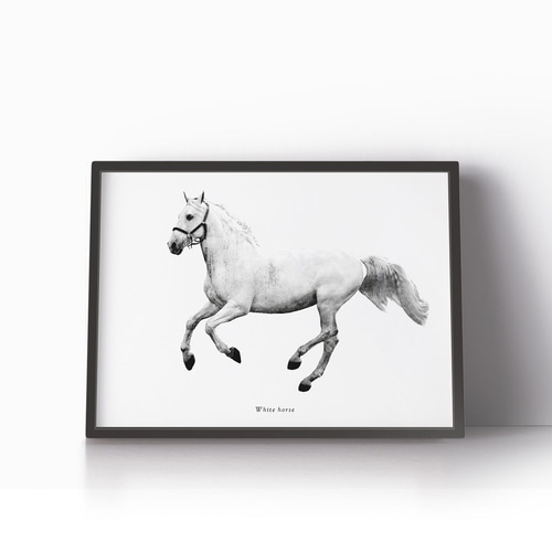 アートポスター/ White horse おしゃれインテリア・北欧