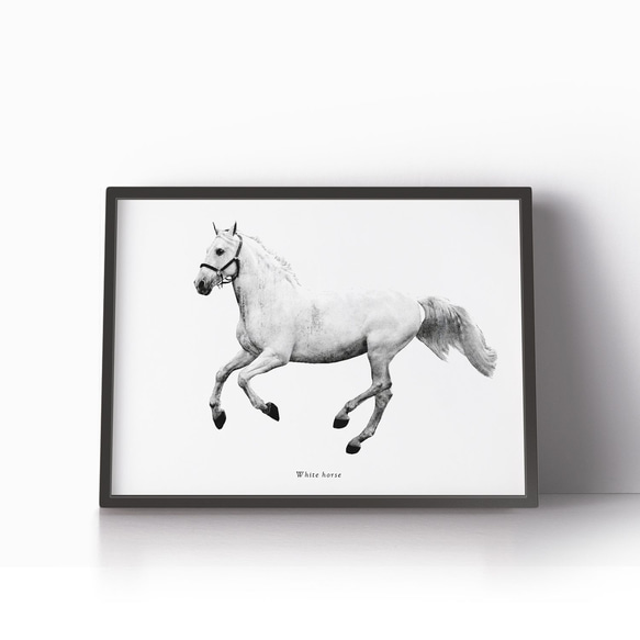 アートポスター/ White horse  おしゃれインテリア・北欧、モノトーン好きの方に☆ 5枚目の画像