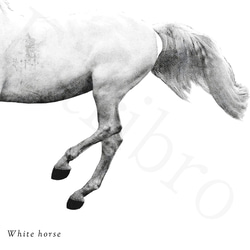 アートポスター/ White horse  おしゃれインテリア・北欧、モノトーン好きの方に☆ 4枚目の画像