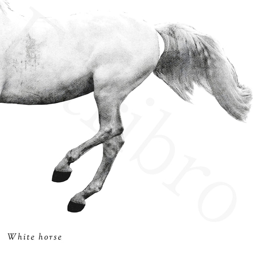 ホワイトホース　額縁white horseポスターブランデー ポスター ホワイトホース ファインオールド 700ml｜格安・安いお酒の通販