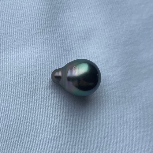 楽天市場】タヒチ黒蝶真珠パールルース 両穴 5ピース 13-12mm