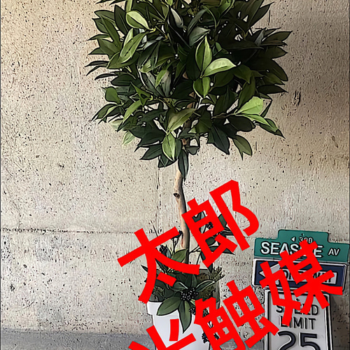 光触媒 人工観葉植物 ウォールグリーン フェイク フラワー