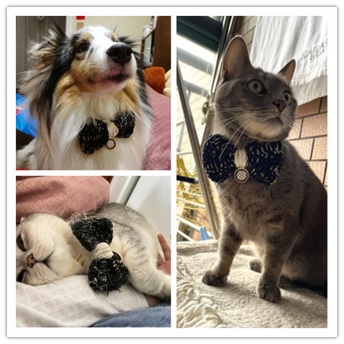 猫首輪☆白/黑蝶々リボン☆毛糸の付け襟首輪☆犬 ペット用 猫首輪☆白/黑蝶々リボン☆毛糸の付け襟首輪☆犬 ペット用