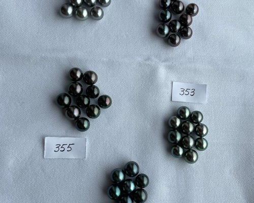 タヒチ（黒蝶貝）ルース　無穴　9ミリ タヒチ（黒蝶貝）ルース 無穴 9ミリ