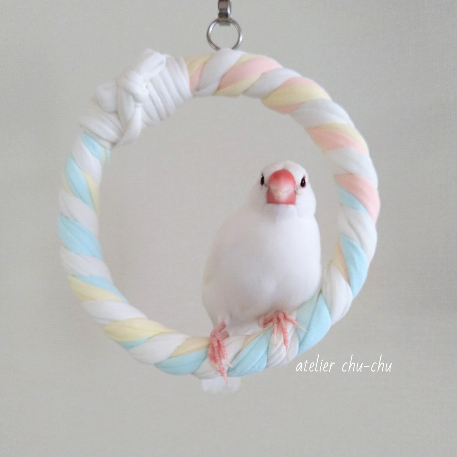 パーツ取り替え式 ハイジのブランコ | 自然木の鳥用品 鳥豆堂