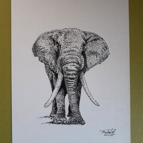 から厳選した 点描画アート ゾウ 絵画 makochin 通販 13884914｜Creema(クリーマ) 絵画