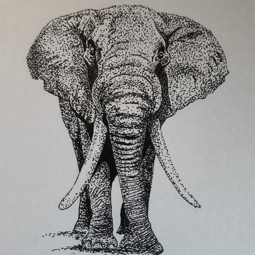 「ゾウ」の絵画❗早いもの勝ち❗ 楽天スーパーセール】 「ゾウ」の絵画❗早いもの勝ち❗ 絵画 - 絵画