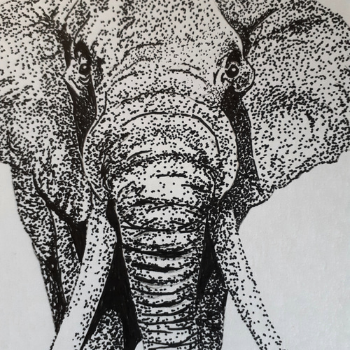 「ゾウ」の絵画❗早いもの勝ち❗ 8710a8d27795c31da125eb0dabf2ce