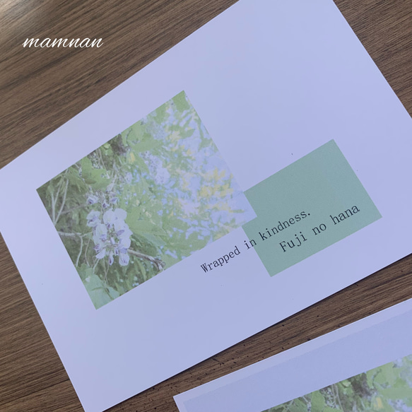 ポストカード（藤の花） 3枚目の画像