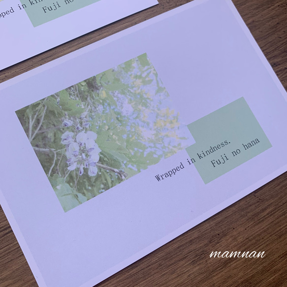 ポストカード（藤の花） 2枚目の画像